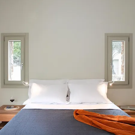 Villa Themis Homes Skíros